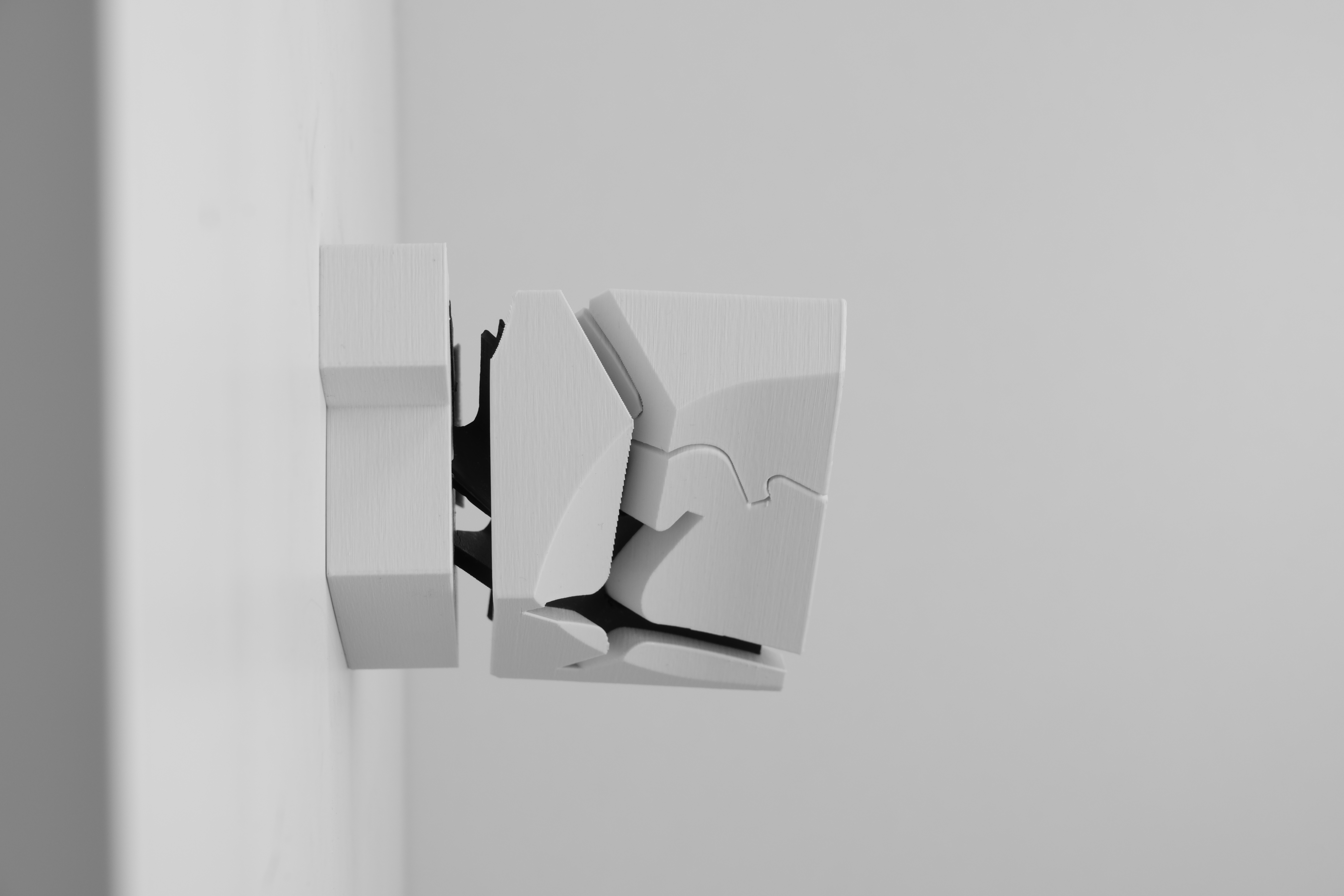 Lymphtonic additional model view